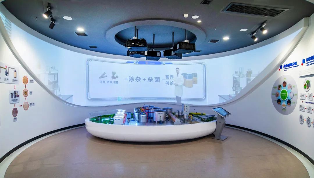 安琪基于开创并深耕有机氮源市场 安琪基于开创并深耕有机氮源市场