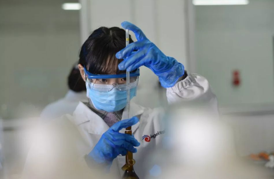 安琪采用国际先进的质量管理体系 安琪采用国际先进的质量管理体系