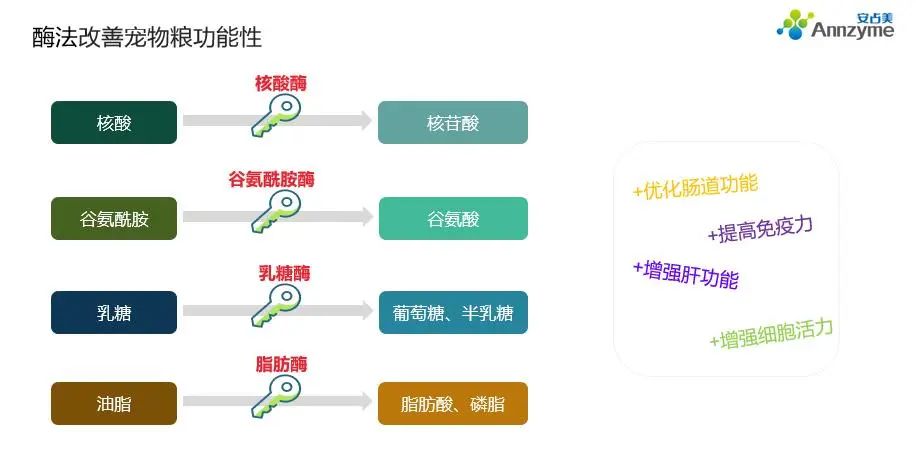 酶制剂对宠物粮功能营养性的影响