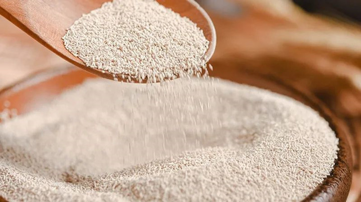 酵母的安全性及高营养性