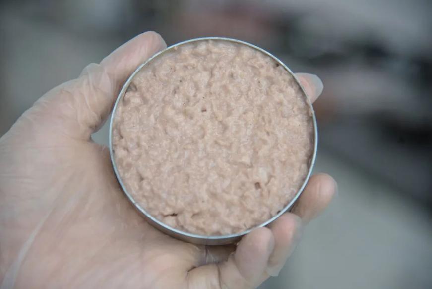 安琪微生物蛋白