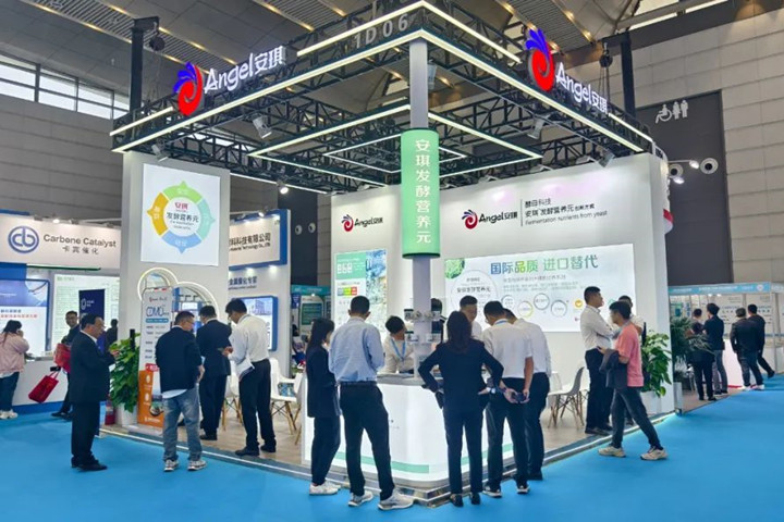 安琪精彩亮相2024秋季API China