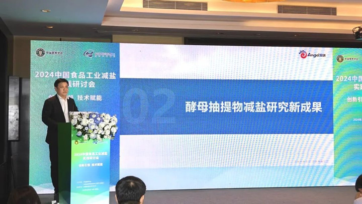 安琪酵母股份有限公司蛋白质营养与调味技术中心李沛总经理发言