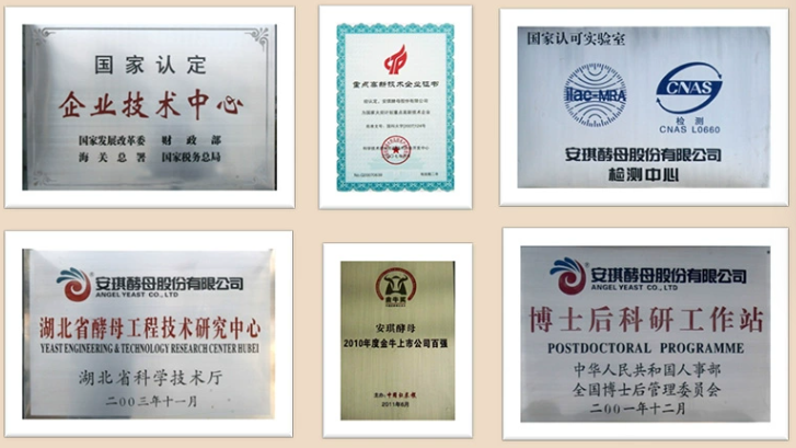 安琪从事酿酒微生物研究推广30多年