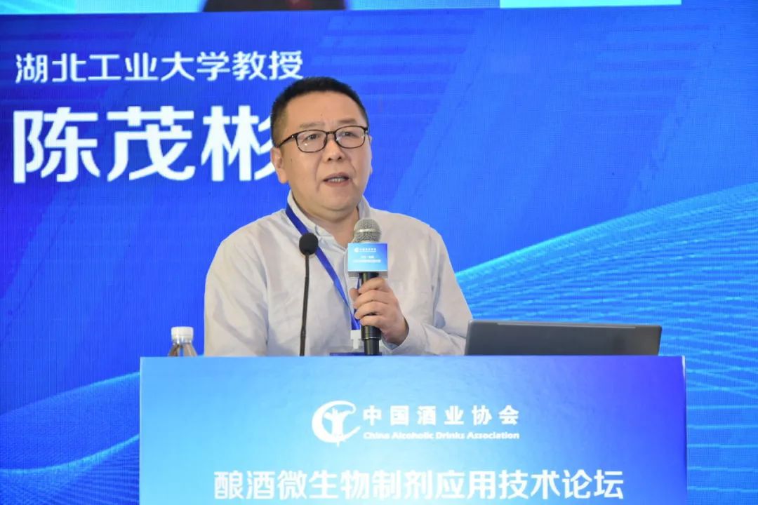 湖北工业大学生物工程与食品学院二级教授陈茂彬