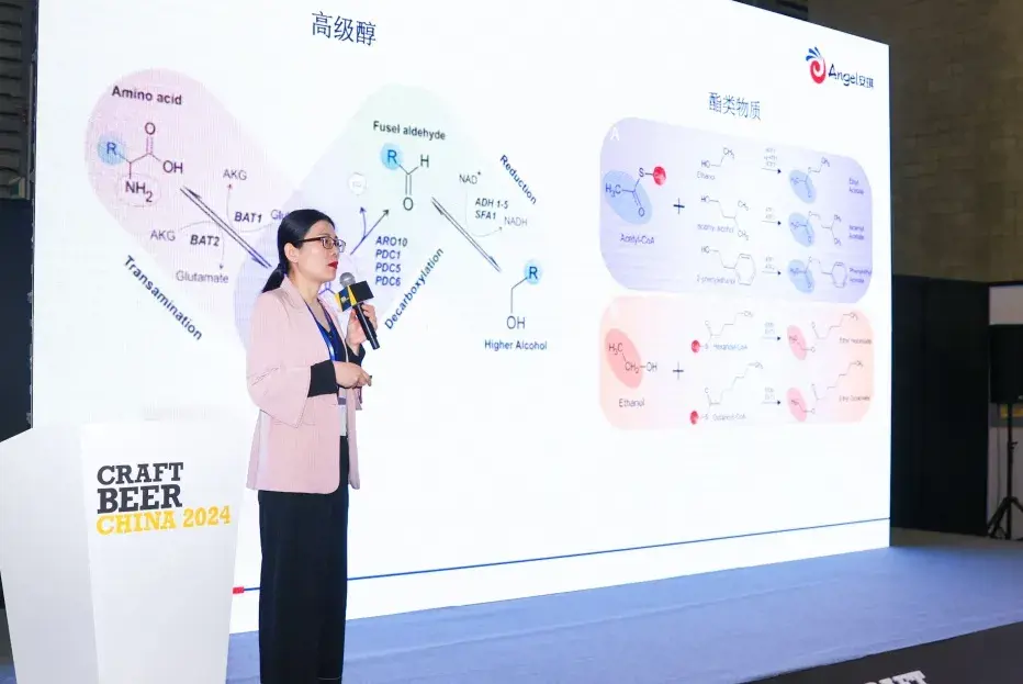 安琪酵母菌种选育技术与科研平台