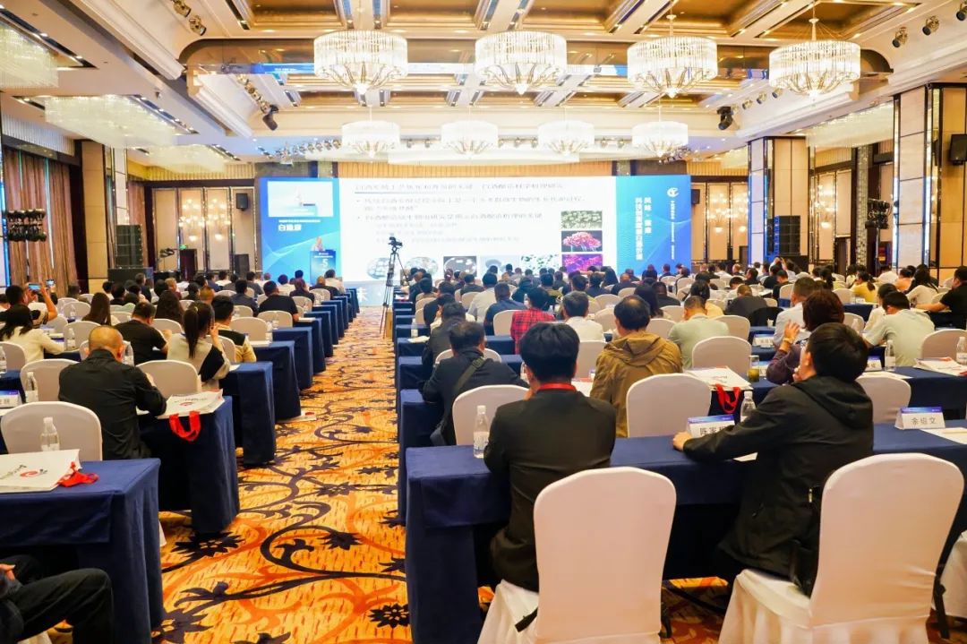 白酒酿造科学机理的深度研究