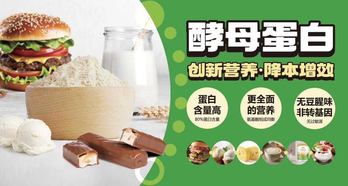 酵母蛋白的应用