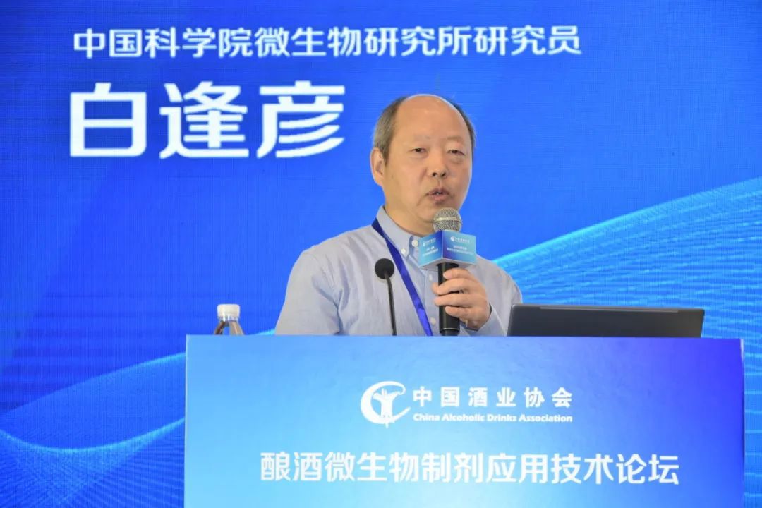 微生物如何影响不同香型的白酒