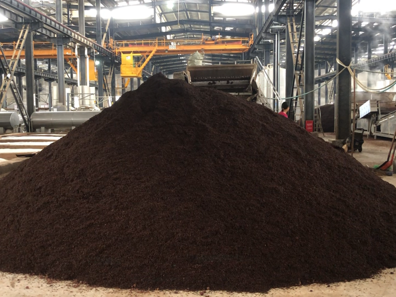 堆积发酵过程中的微生物变化