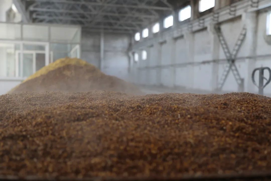 酿造环境与自然环境的微生物关联性分析