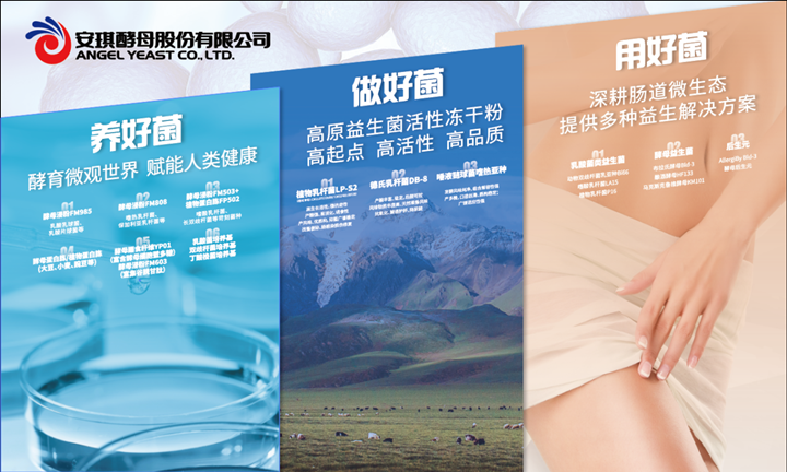安琪布拉氏酵母Bld-3
