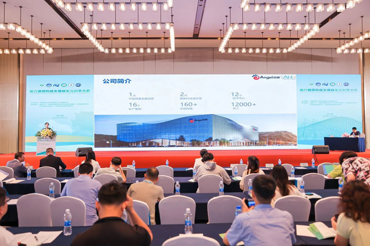 安琪酵母Bld-3的肠道健康科学研究