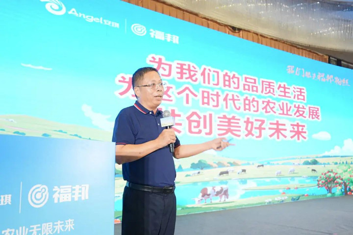 安琪酵母股份有限公司副总经理吴朝晖