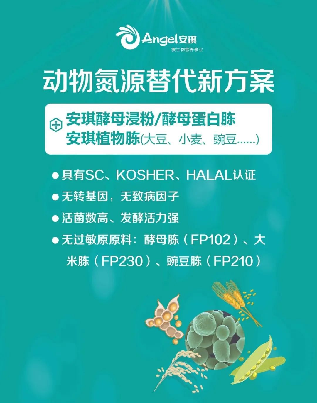 安琪动物氮源应用技术解决方案