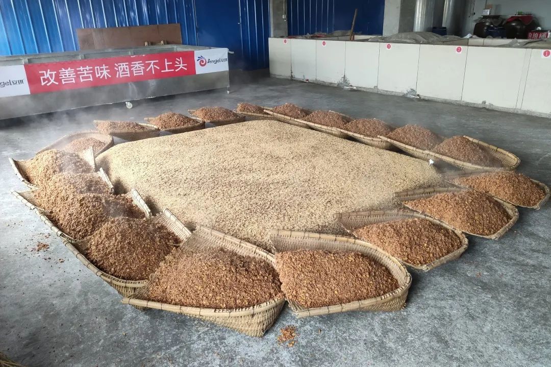 夏季酿酒中面临的挑战