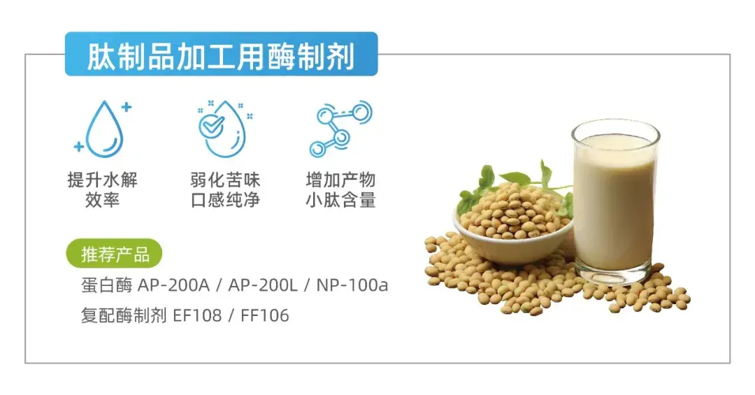 肽制品加工酶制剂