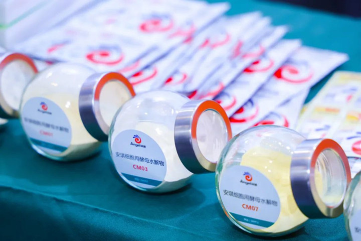 安琪蛋白质营养