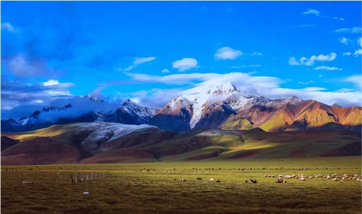 安琪珠峰公司乳酸菌产业化基地