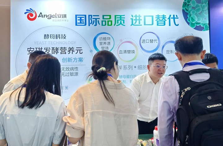 安琪提供进口氮源替换、血清替换等方案