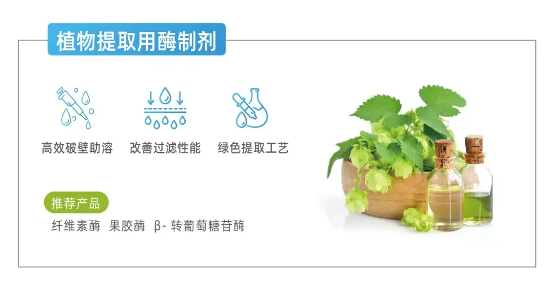 植物提取酶制剂
