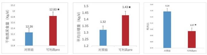 试验动物:200头西杂牛；试验时间90d