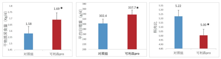 试验动物:500只湖羊；试验时间60d
