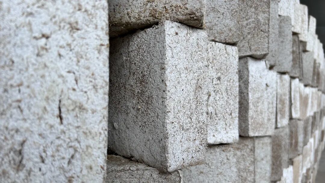 微生态，大风味