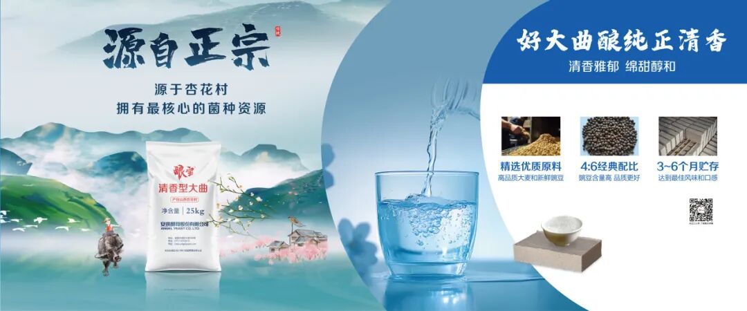 安琪酿宝清香型大曲