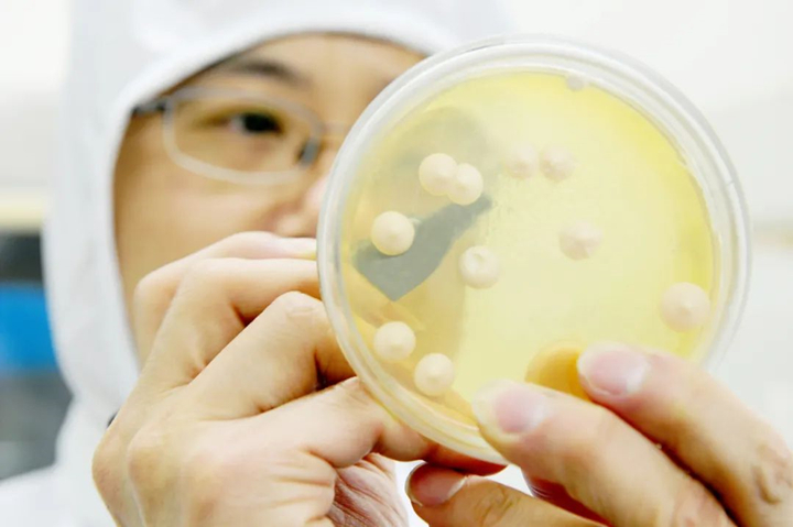 安琪公司以创新技术突围氮源困局