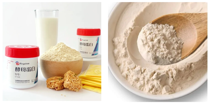 酵母蛋白：不仅是环保选择，更是营养升级