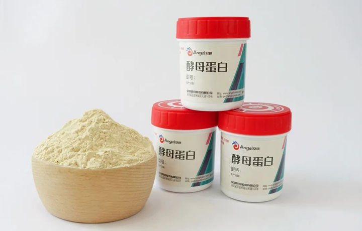 酵母蛋白凭借其独特优势在蛋白粉市场中脱颖而出