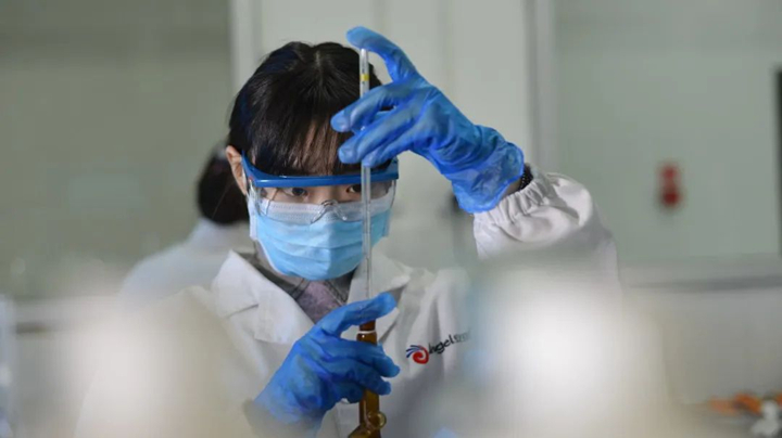 安琪研发团队扎进实验室