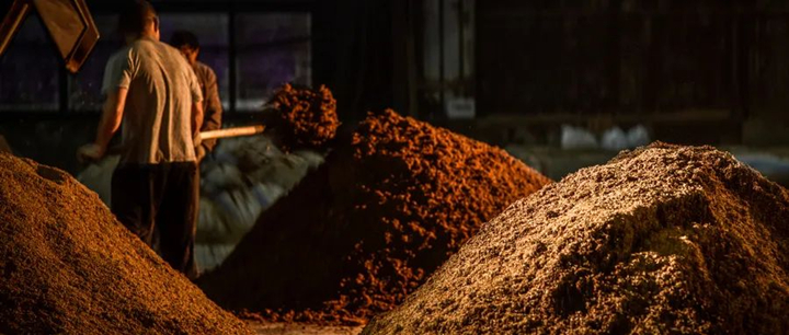 安琪酒曲出酒技巧