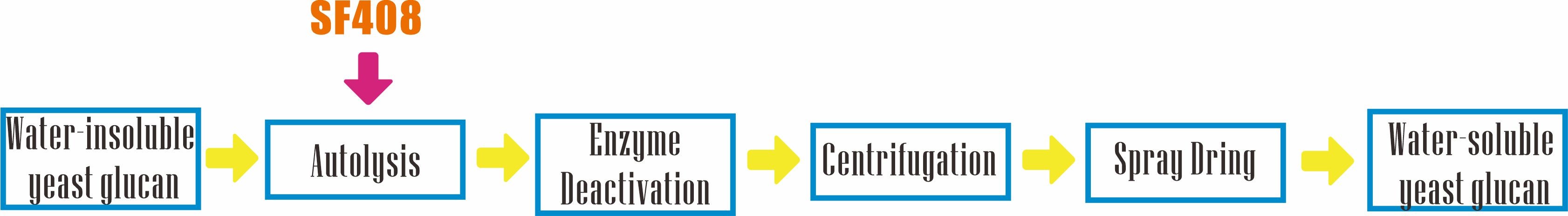 Production processing of soluble yeast glucan with Annzyme® SF408.jpg