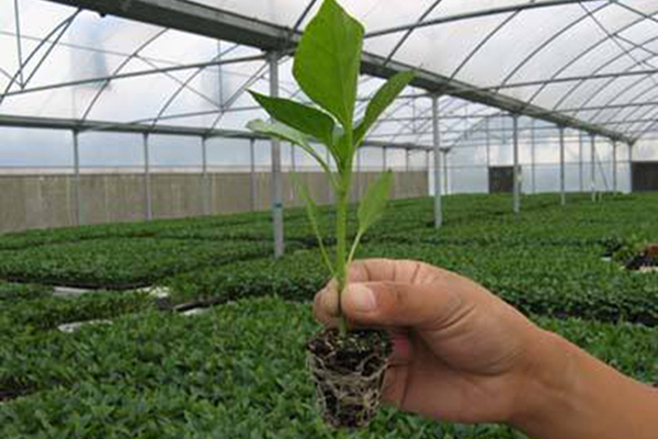 2f82bd97798f2436.jpg 2f82bd97798f2436.jpg