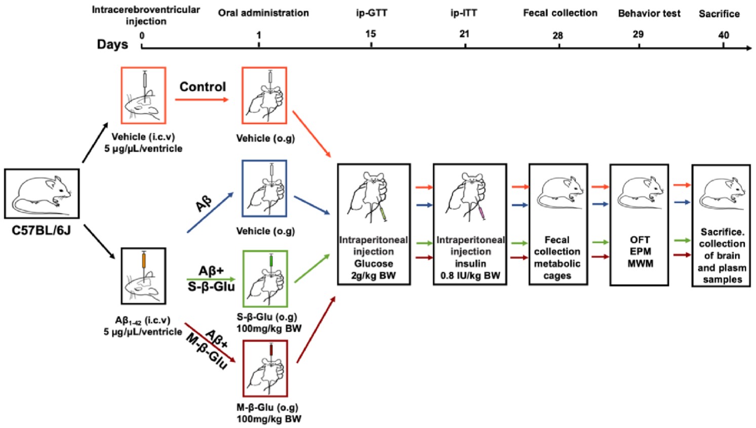 study design.jpg study design.jpg
