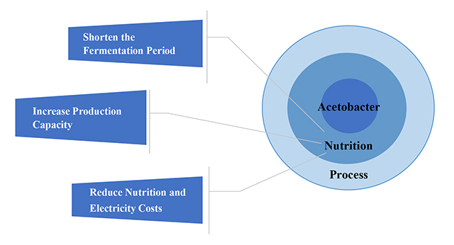 Fig.1 Nutrients play a crucial role in the fermentation process.jpg Fig.1 Nutrients play a crucial role in the fermentation process.jpg
