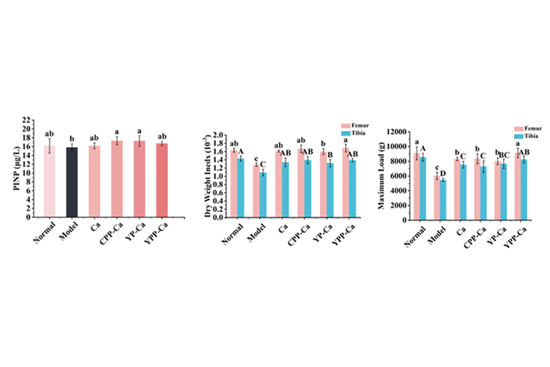 Partial-analysis-results-of-serum-indicators-and-valuation-tables-in-low-calcium-rats.jpg Partial-analysis-results-of-serum-indicators-and-valuation-tables-in-low-calcium-rats.jpg