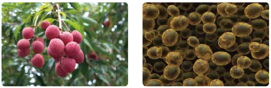 af42326949bbe46e.png af42326949bbe46e.png