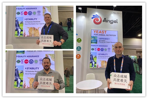 Blessings from clients and friends at IPPE 2020