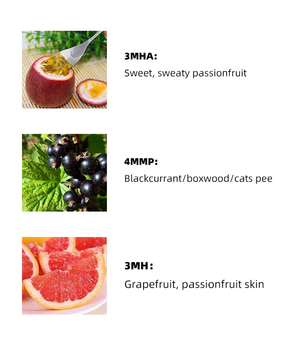 内页 香味.jpg 内页 香味.jpg