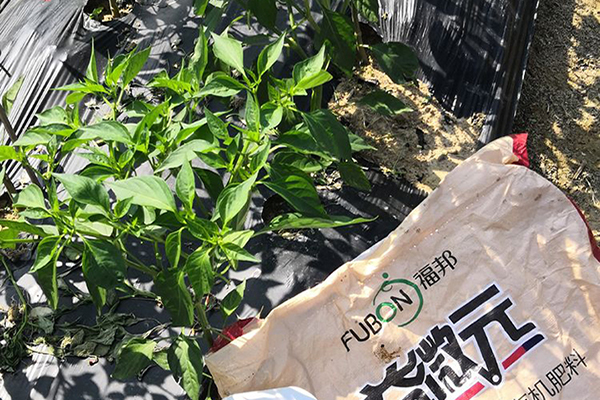 5d7fa11ac32bc82a.jpg 5d7fa11ac32bc82a.jpg