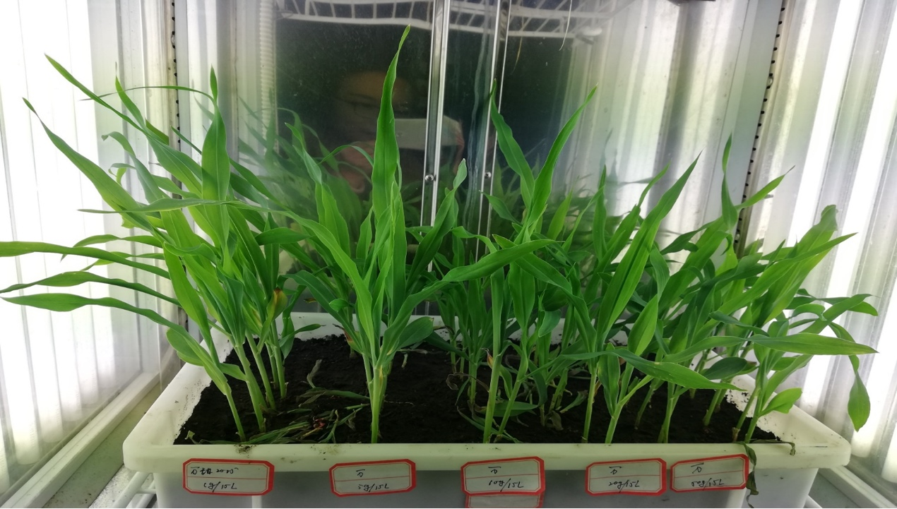 图片6.png 图片6.png