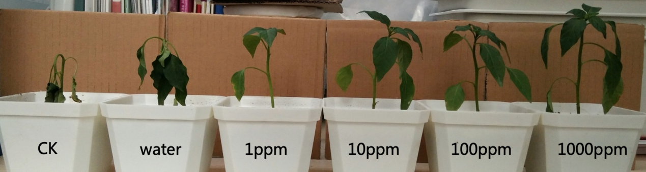 图片7.png 图片7.png