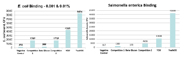 YeaMos-02.jpg YeaMos-02.jpg