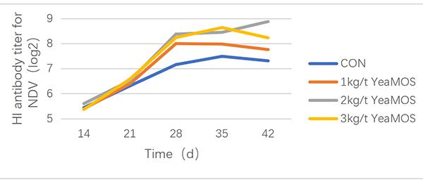 未标题-4.jpg 未标题-4.jpg
