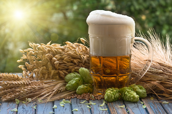 The effects of zinc on beer fermentation The effects of zinc on beer fermentation
