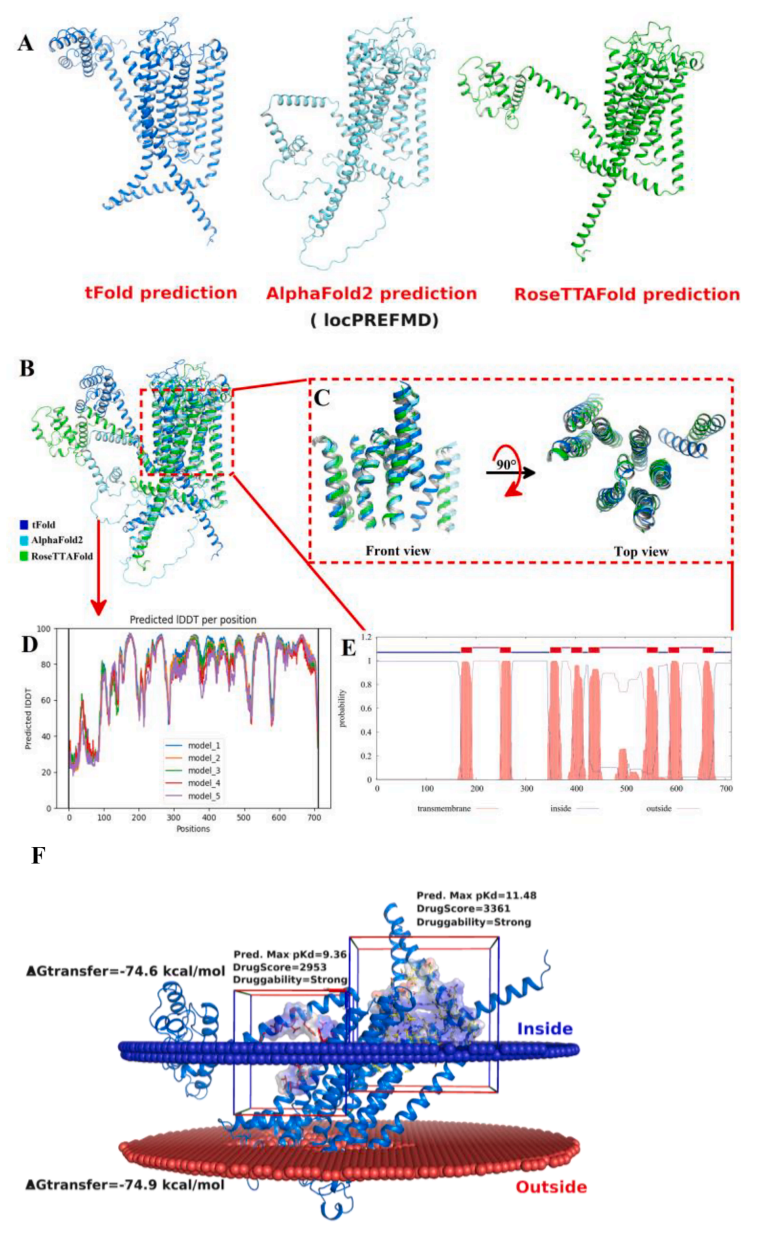 图片6.png 图片6.png