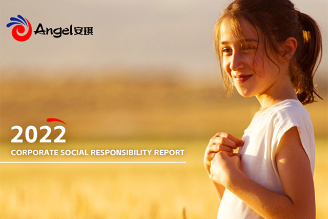 corporate social responsibility report